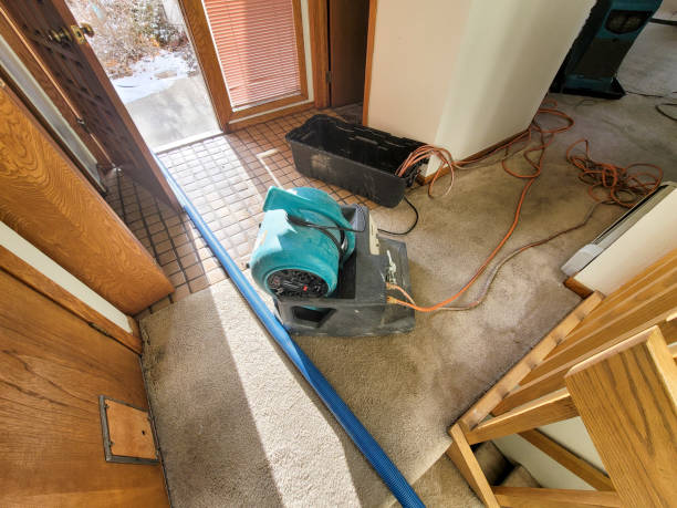 Best Water damage restoration near me  in Wickliffe, OH