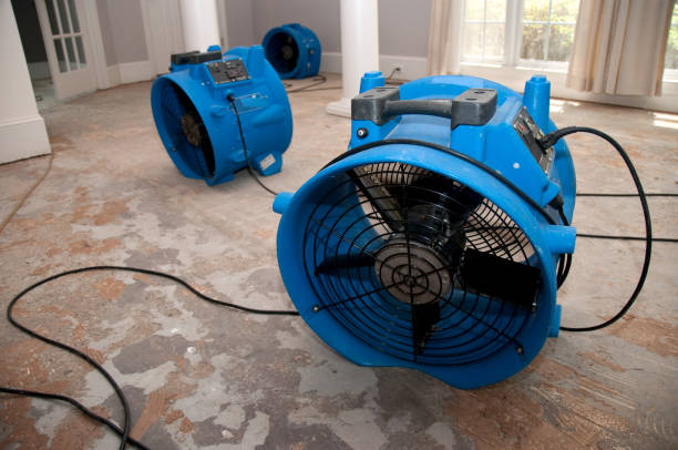 Best Emergency water damage restoration  in Wickliffe, OH