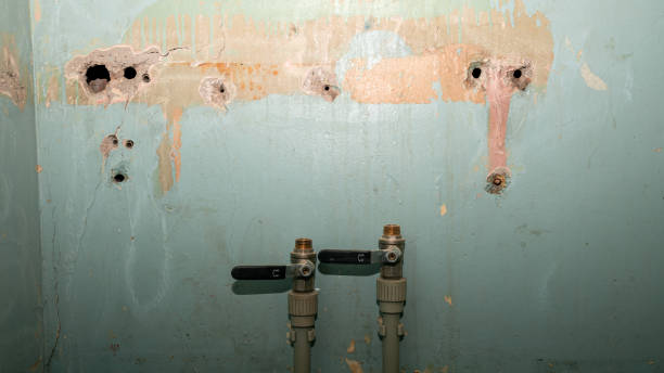 Best 24/7 water damage repair  in Wickliffe, OH